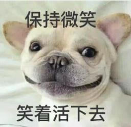 202412171053041572.Png