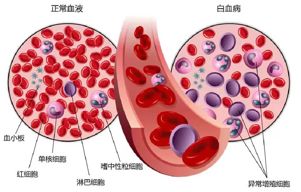 图片24.png