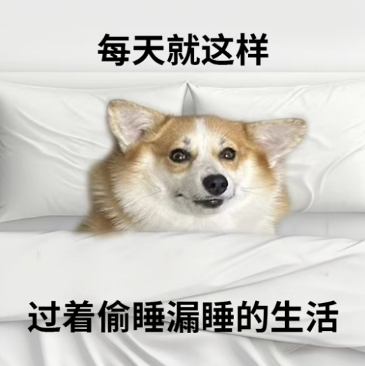 202502062329384638.Png